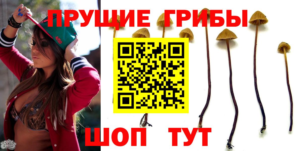 Псилоцибиновые грибы прущие грибы Ноябрьск